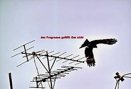 jetzt hat er genug vom Programm