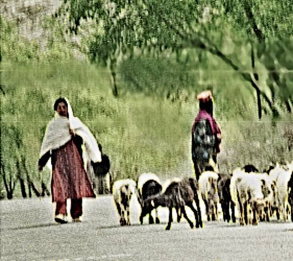 das stolze Volk der Hunza