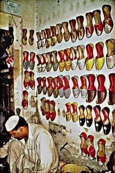 er wartet auf Käfer