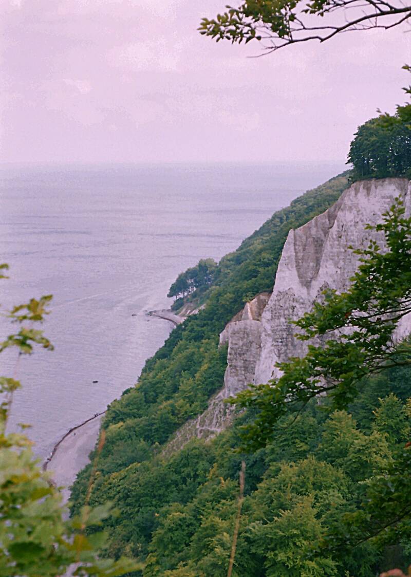 der berühmte Kreidefelsen auf Rügen