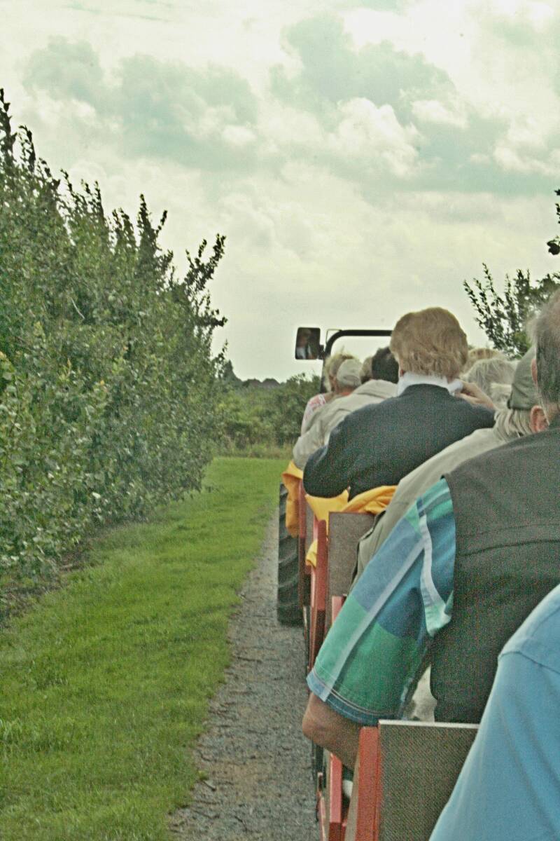 ab durch die Plantage