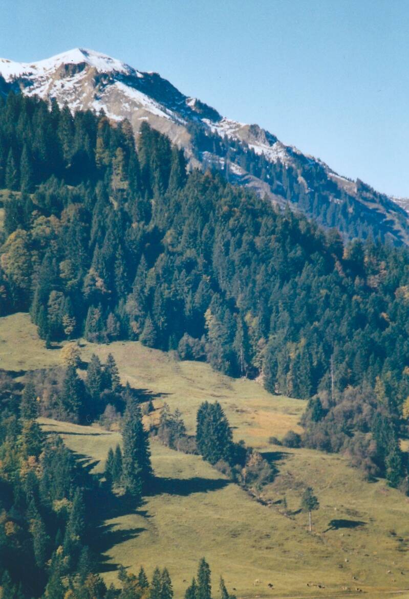 intakte Natur, oder?