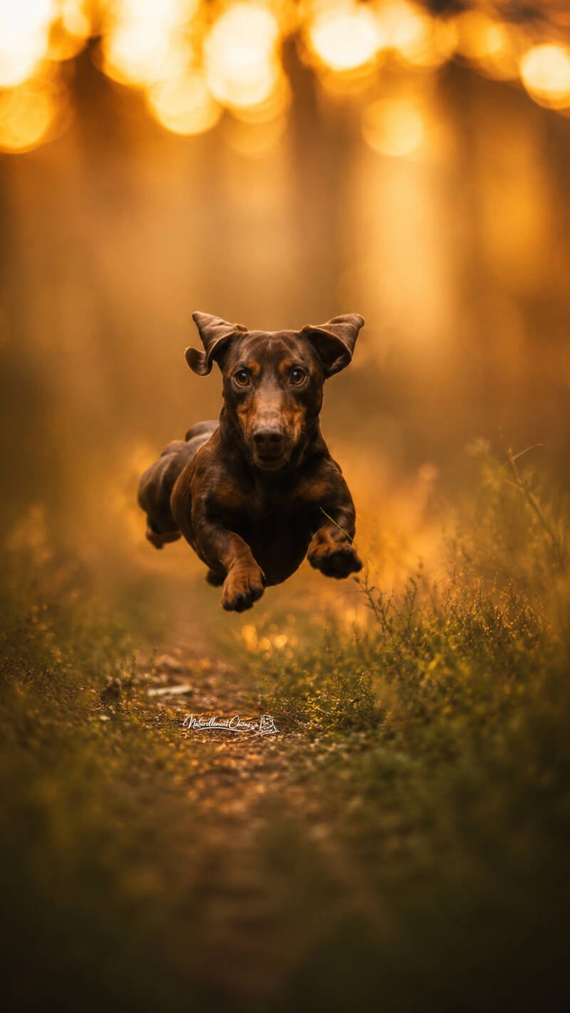 0a291669-3f0d-4a84-a008-3f28a72c2b43-standard-z4f7fx.jpg