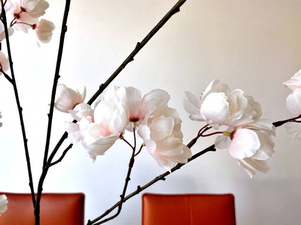 "CHERRY BLOSSOM ME" box