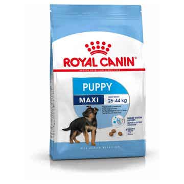 Royal Canin Maxi Puppy 15 kg (5,33€/kg)