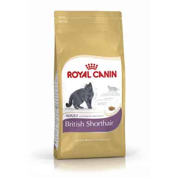 Royal Canin British Shorthair 2 x 2 kg (14,00€/kg)