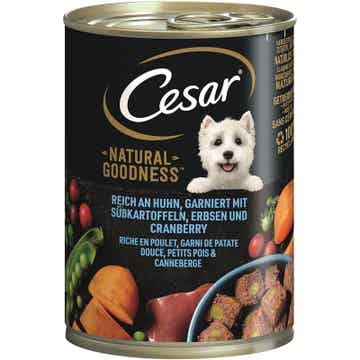 Cesar Dose Natural Goodness mit Huhn 6 x 400g (7,50€/kg)