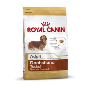 Royal Canin Dachshund/Dackel Adult 2 x 500g (18,99€/kg)