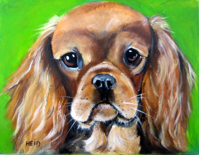 CAVALIER KING CHARLES