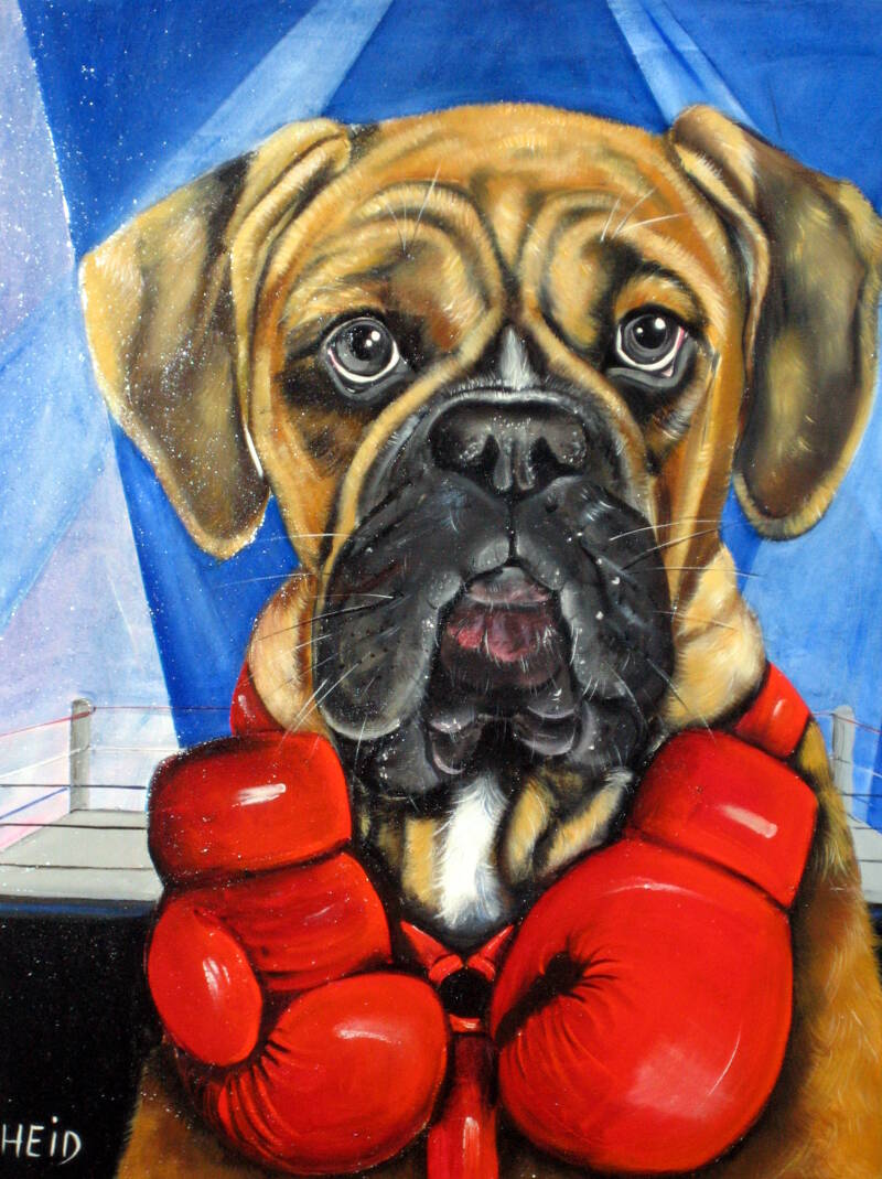 UN BOXER BOXEUR