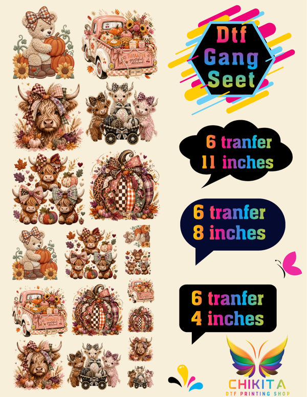 Gang Seet 16