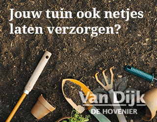 Tuinderhoud door Van Dijk De Hovenier uit Tilburg