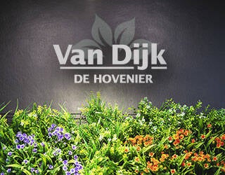 Van Dijk Hovenier - tuintonderhoud