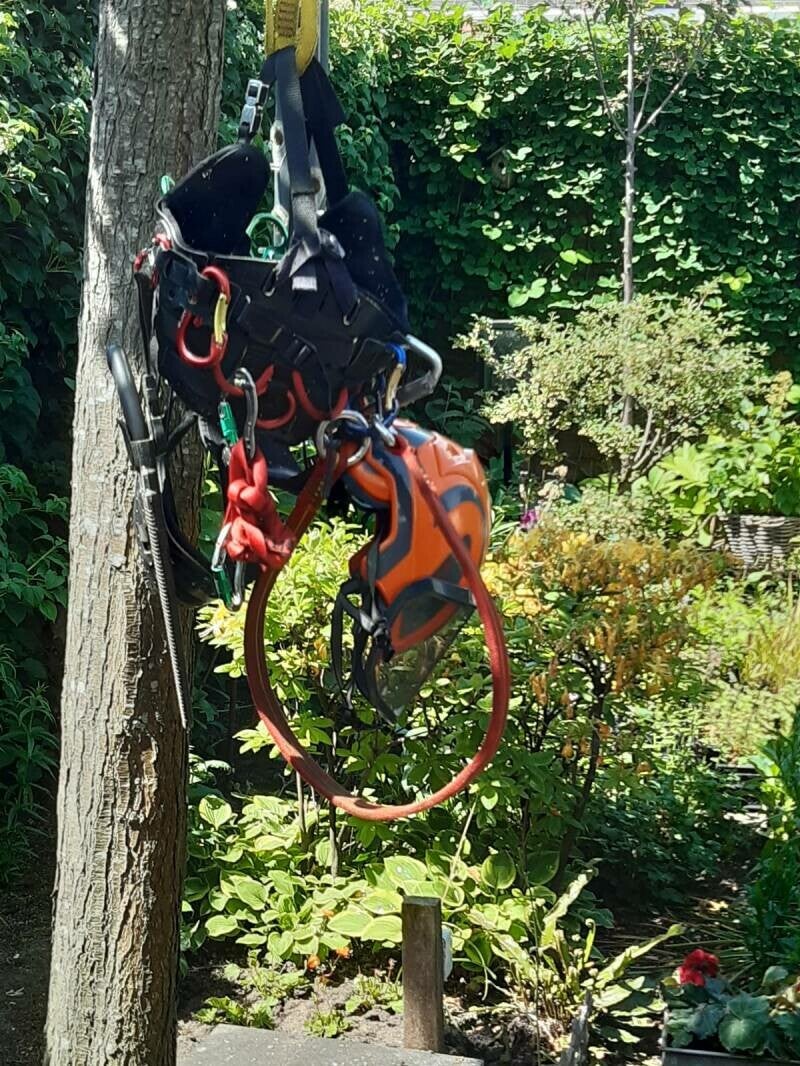 Van Dijk Hovenier - boomverzorging