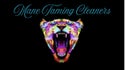 Mane Taming Cleaners