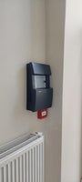 20250603_132553-standard-5jp3cq.jpg
