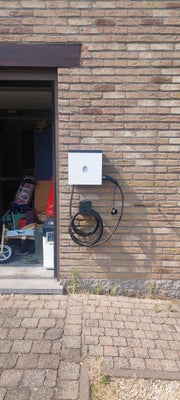20250614_161223-standard.jpg