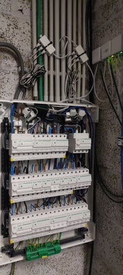 20250903_162414-standard.jpg
