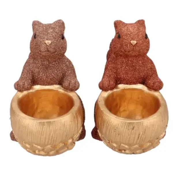 Luxe eekhoorns zittend