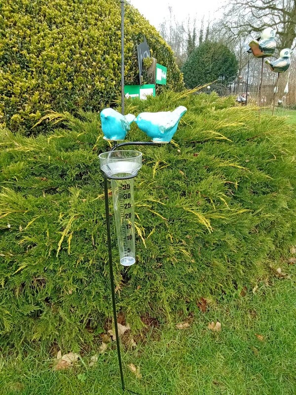 Regenmeter met 2 vogeltjes