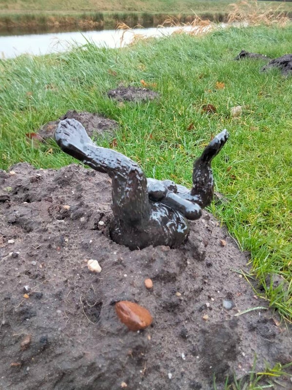 Mannelijke mol.