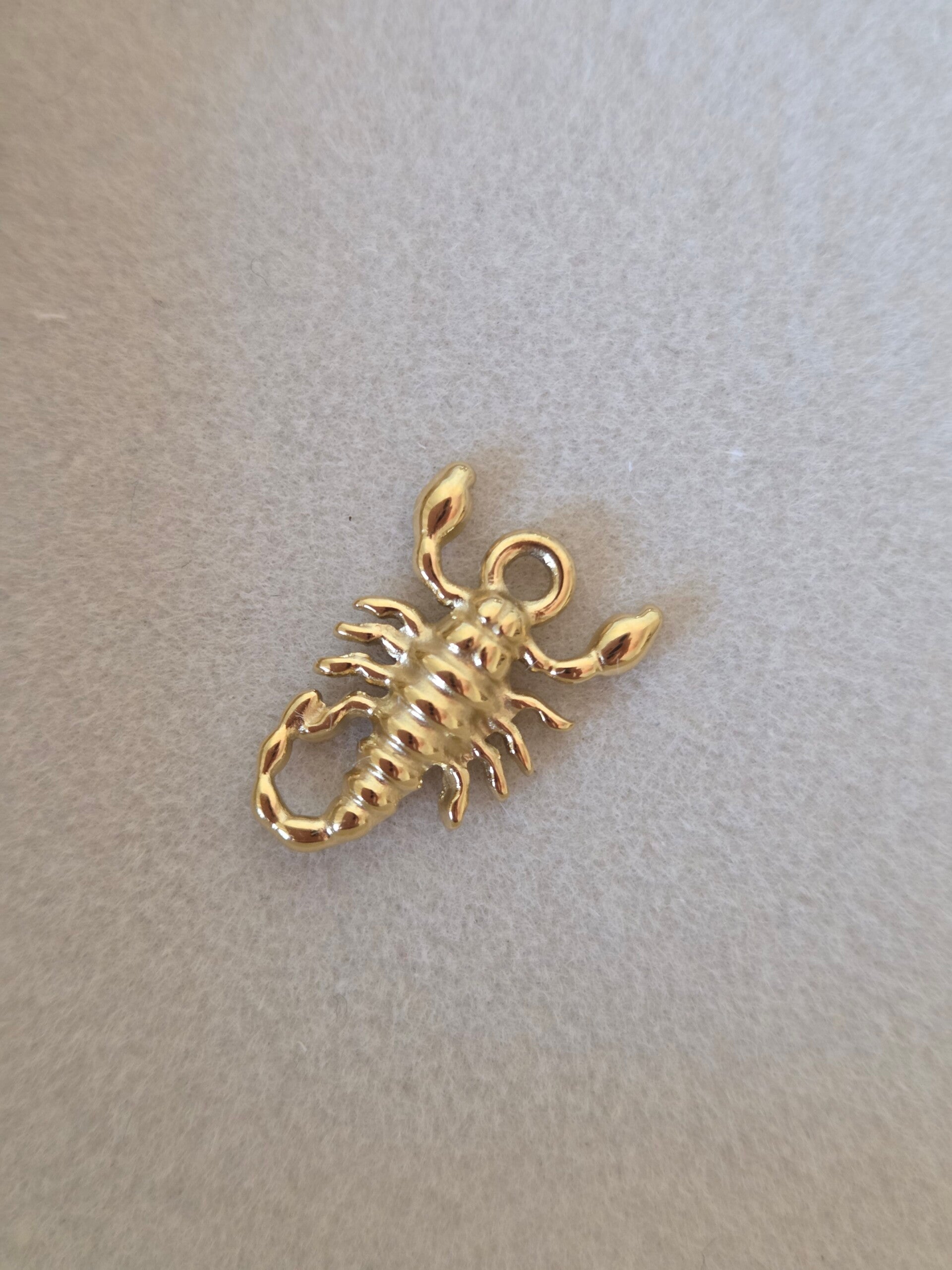 SCORPION CHARM