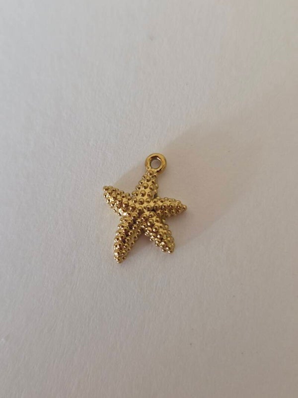 STARFISH CHARM