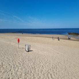 20250509_111332-standard.jpg