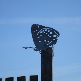 dsc00264-standard.jpg
