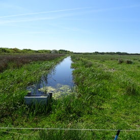 dsc00272-standard.jpg