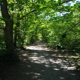 dsc00279-standard.jpg