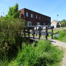 dsc00284-standard.jpg