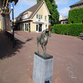 dsc00363-standard.jpg