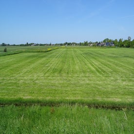 dsc02347-standard.jpg