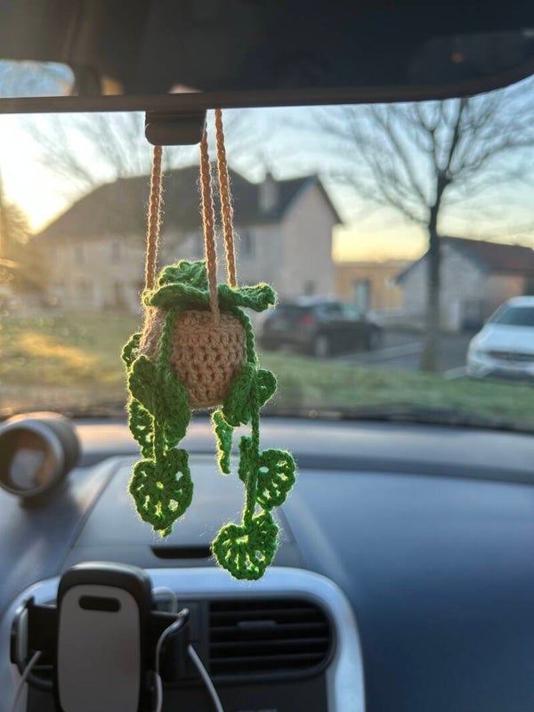 Suspension voiture plante