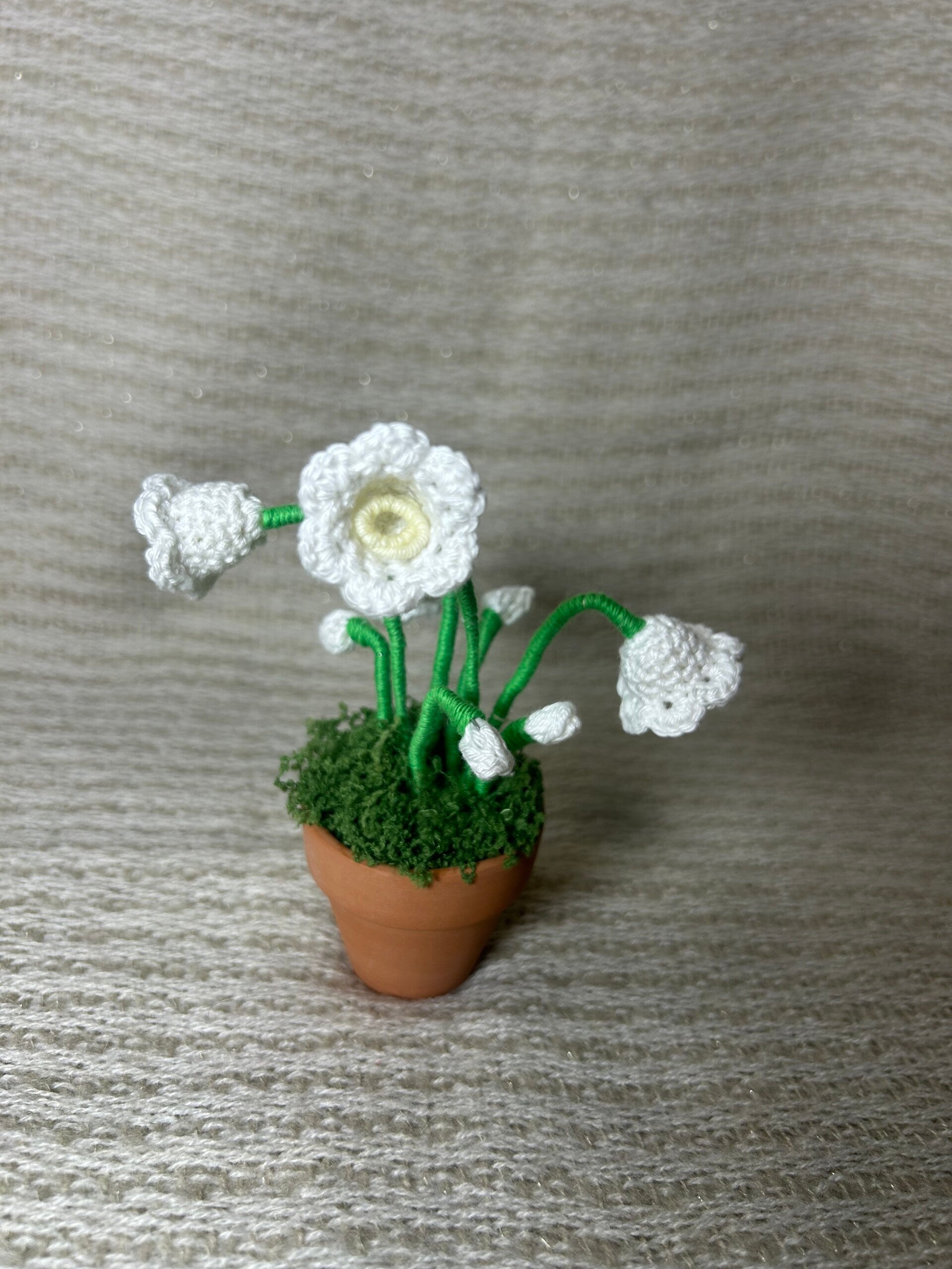 Petit pot de muguet
