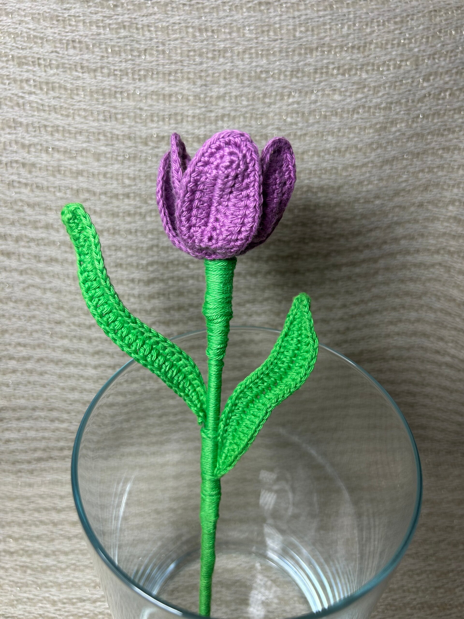 Tulipe
