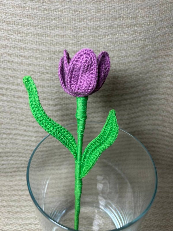 Tulipe
