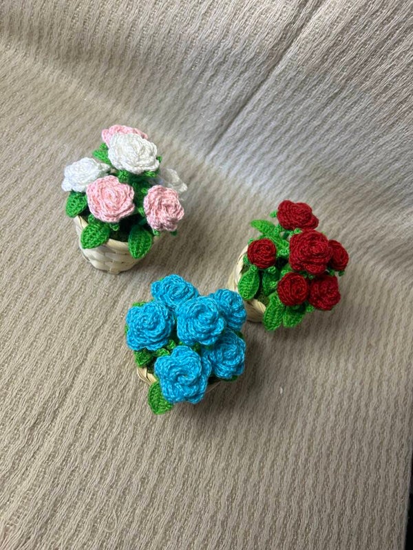 Pot de roses