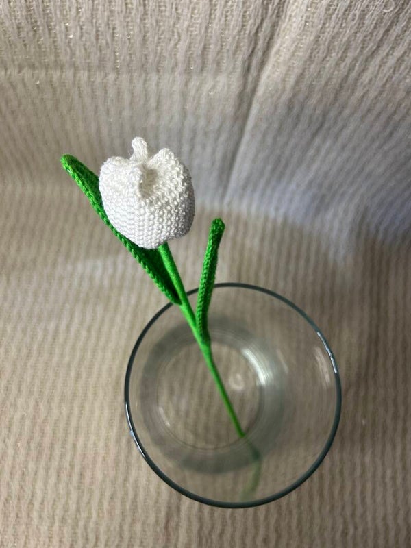 Tulipe fermer