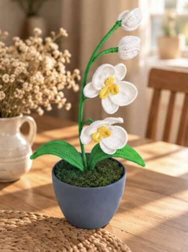 Orchidée au crochet