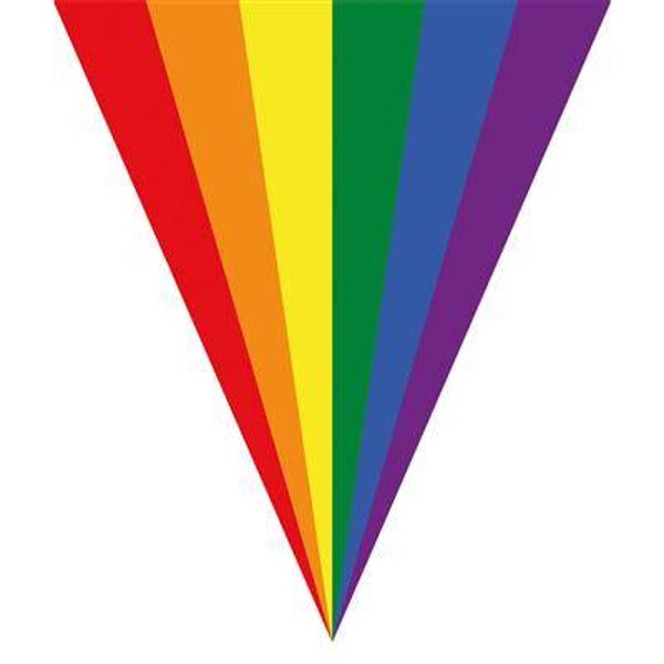 Vlaggenlijn Regenboog