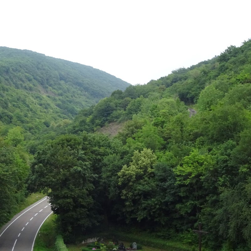 Waldblick Hotel Burgfrieden Beilstein