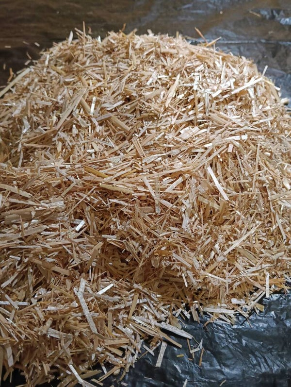 PAGLIA DI LINO