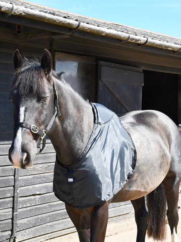 Gilet per cavallo anti decubito in memory foam