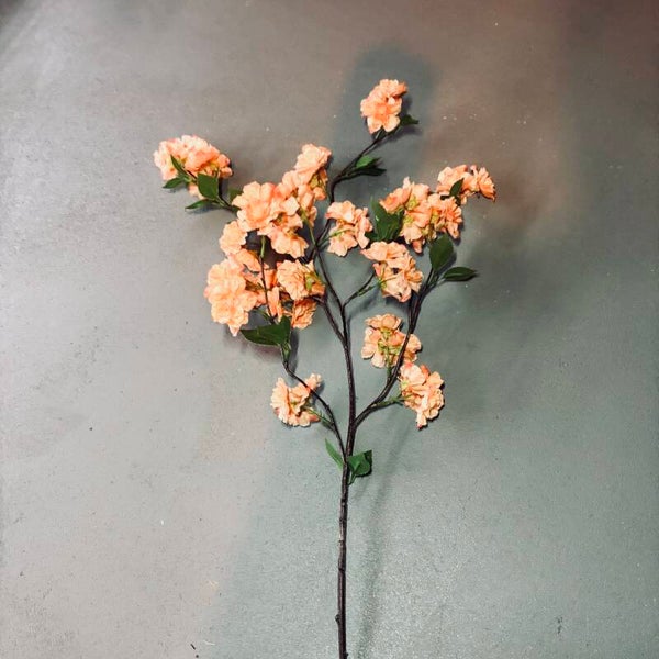 Kersenbloesem  | 90cm | Peach