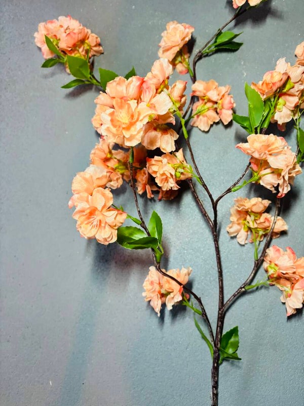 Kersenbloesem  | 90cm | Peach