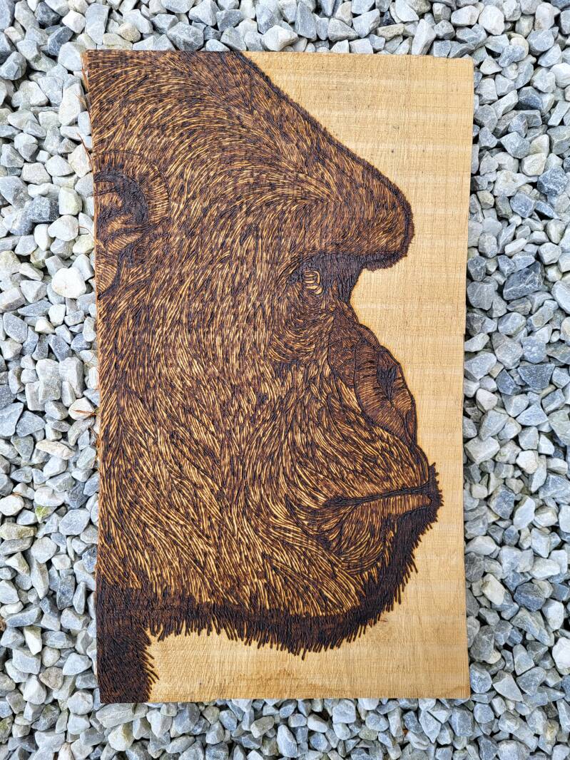 Gezicht aap houtgebrand op eiken hout.