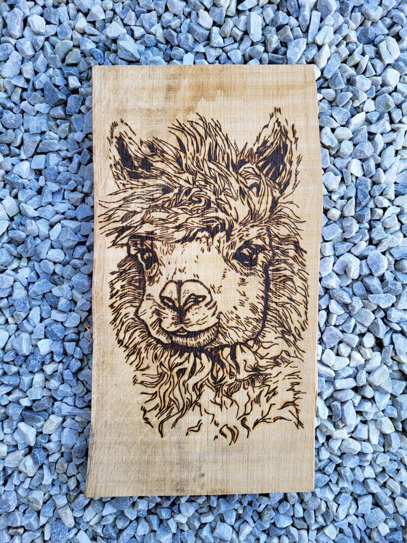 Houtgebrande Alpaca gezicht op eiken hout.