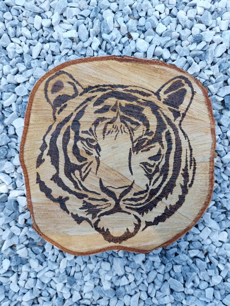 Boomschijf met hoofd tijger houtgebrand